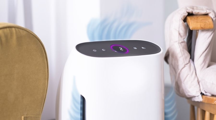 10 Best Air Purifiers for Your Home