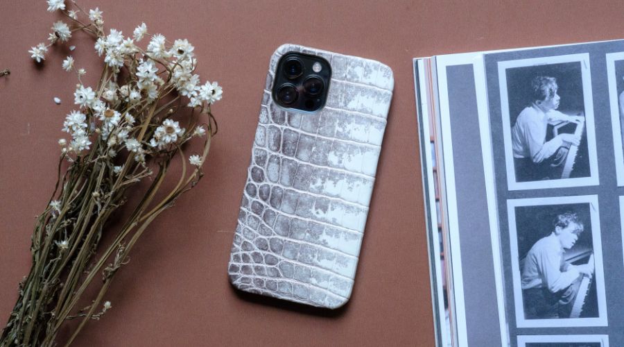 9 Essential iPhone 12 Cases and Accessories for Protection and Style