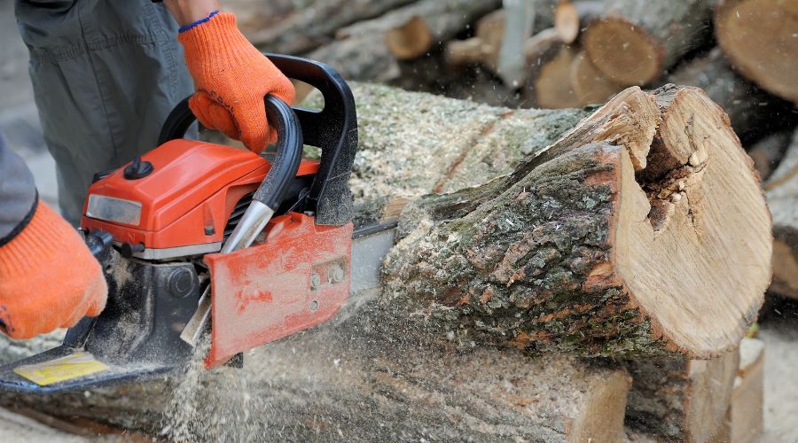 The Startling History of the Chainsaw (1)